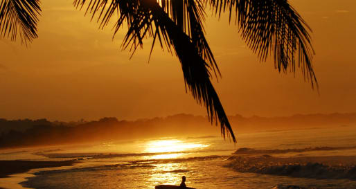 Surf the Pacific