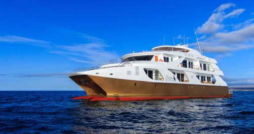 Elite catamaran exterior