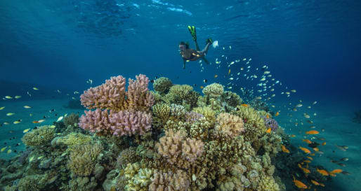 Sharm El Sheikh