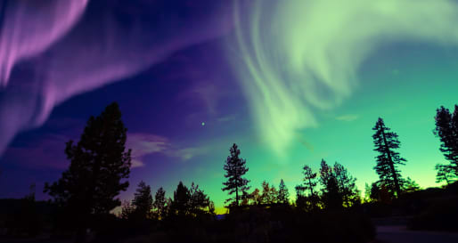 Northern Lights - Aurora night at Beana Laponia