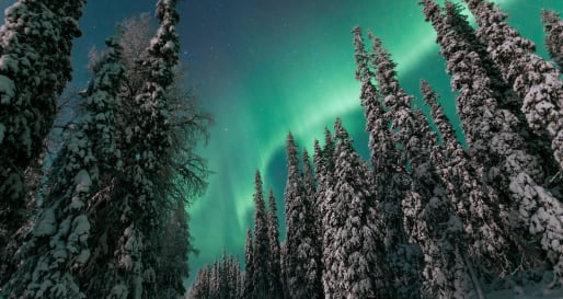 Auroras - Finnish Lapland, Finland