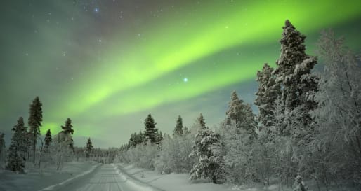 Northern Lights reindeer safari 