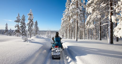 Snowmobile Safari