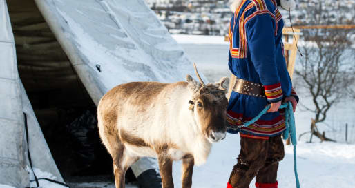 Visit to Reindeer Farm - Finnish Lapland, Finland