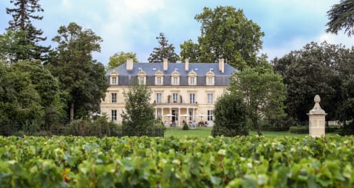 Outside View with Vineyards 