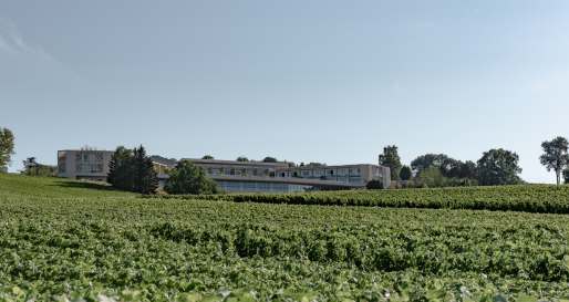 Royal Champagne exterior and vineyard