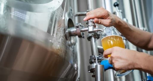 Brewery tour