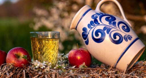 Frankfurt Apple Wine Tour 
