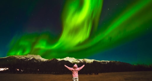 Northern Lights Hunt 