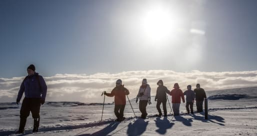 Snowshoeing 