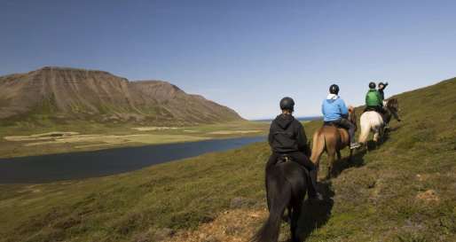 Horse Riding  