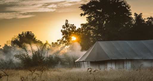 Misty Mornings - Jamtara Wilderness Camp