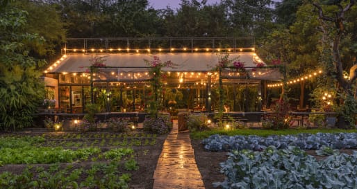 Dining Space - Jehan Numa Retreat 