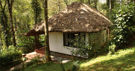 Hut and Forest - Shalimar Spice Garden