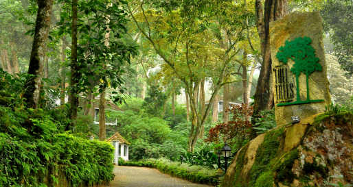 Tall Trees Entrance - The Tall Trees Munnar