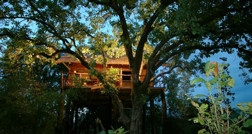 Treehouse - Treehouse Hideaway