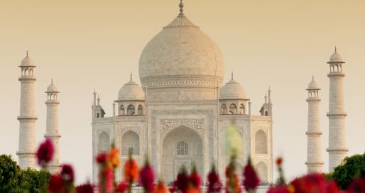 Sunrise Taj - Use 