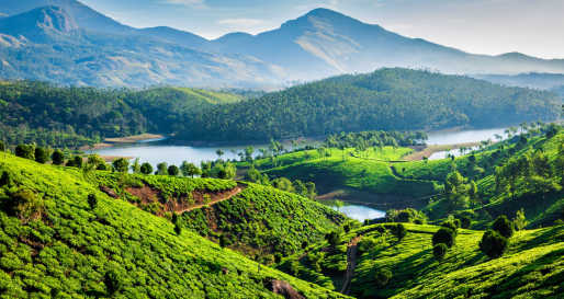 Munnar - Treasures of Cochin & Tamil Nadu