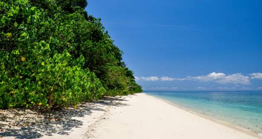 Havelock Island - Tamil Nadu & the Andamans