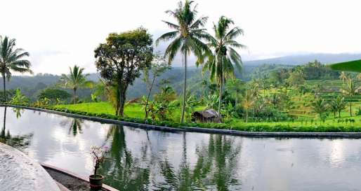 Swimming Pool - Ijen Resort