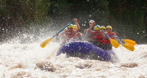 White Water Rafting - Ayung River