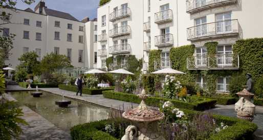The gardens 