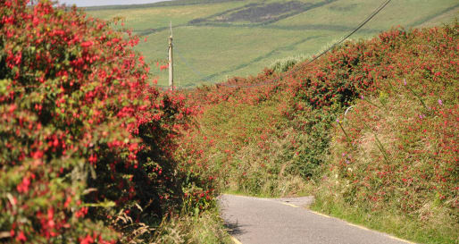 Ring of Kerry 