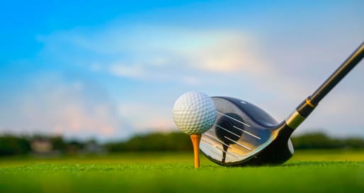Golf club  
