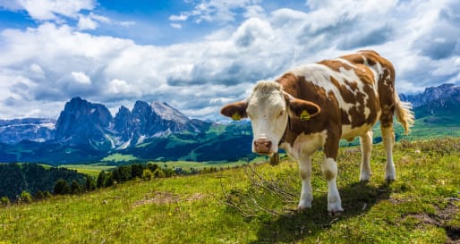Alpe di Siusi 