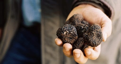 Truffle  