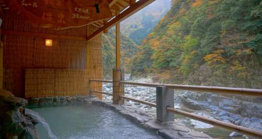 Hot Spring Bath - Iyaonsen