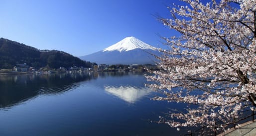 Hakone Discovery