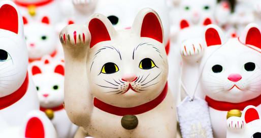 The weird and wonderful 