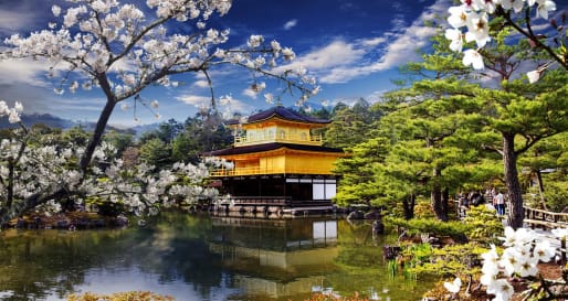 Golen Pavillion, Kyoto  - Cherry Blossom in Japan