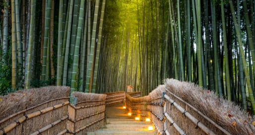 Kyoto - Authentic Japan