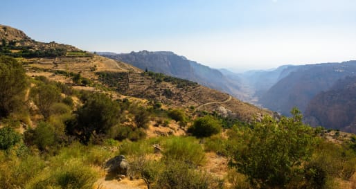 Dana Nature Reserve 