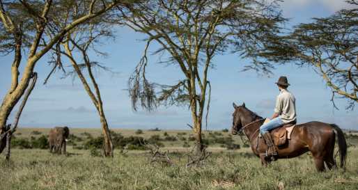 Horse riding