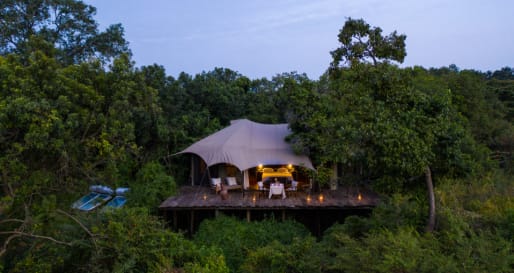 Room in trees  