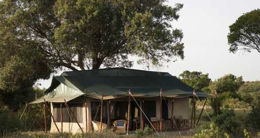 Tent Exterior