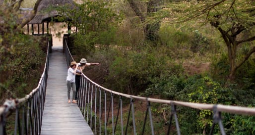 Swing Bridge 