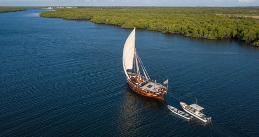 Dhow sailing mangroves  