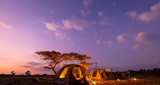 Wild Camping  