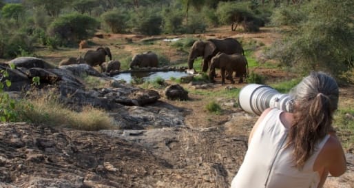 Reteti Elephant Sanctuary