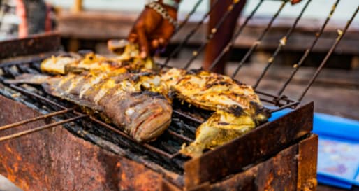 Cooking fish over open fire 
