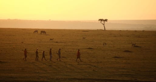 Walking in the Maasai Mara 