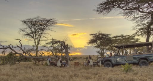 Game Drive