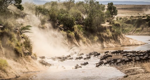 River crossing