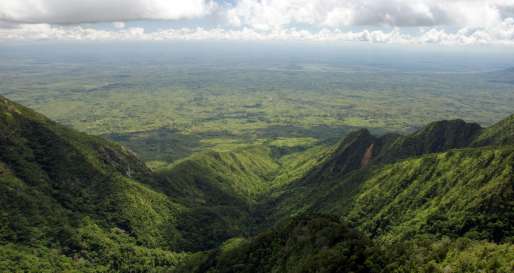 Zomba Plateau - Zomba Forest Lodge