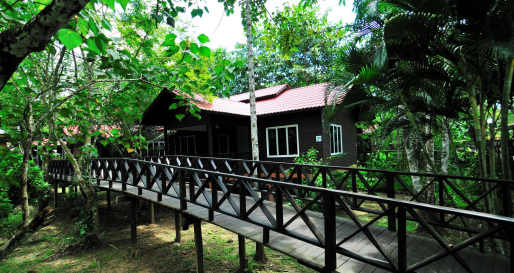 Chalet - Kinabatangan Riverside Lodge