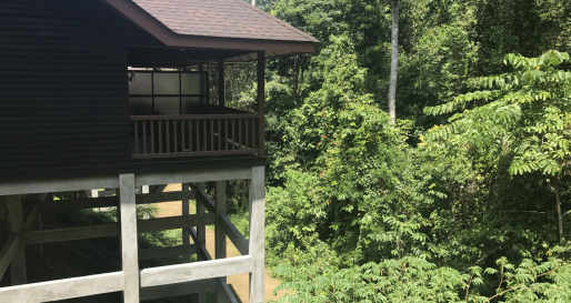 Chalet Exterior - MY Nature Resort